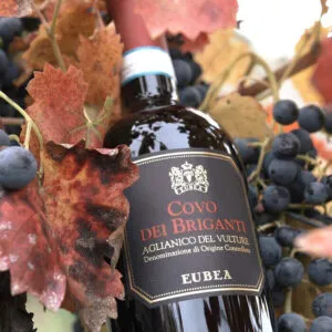 COVO DEI BRIGANTI Aglianico del Vulture DOC 2016, bt 0,75L